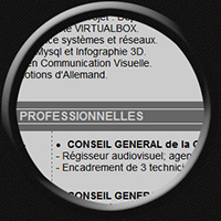 Curriculum Vitae